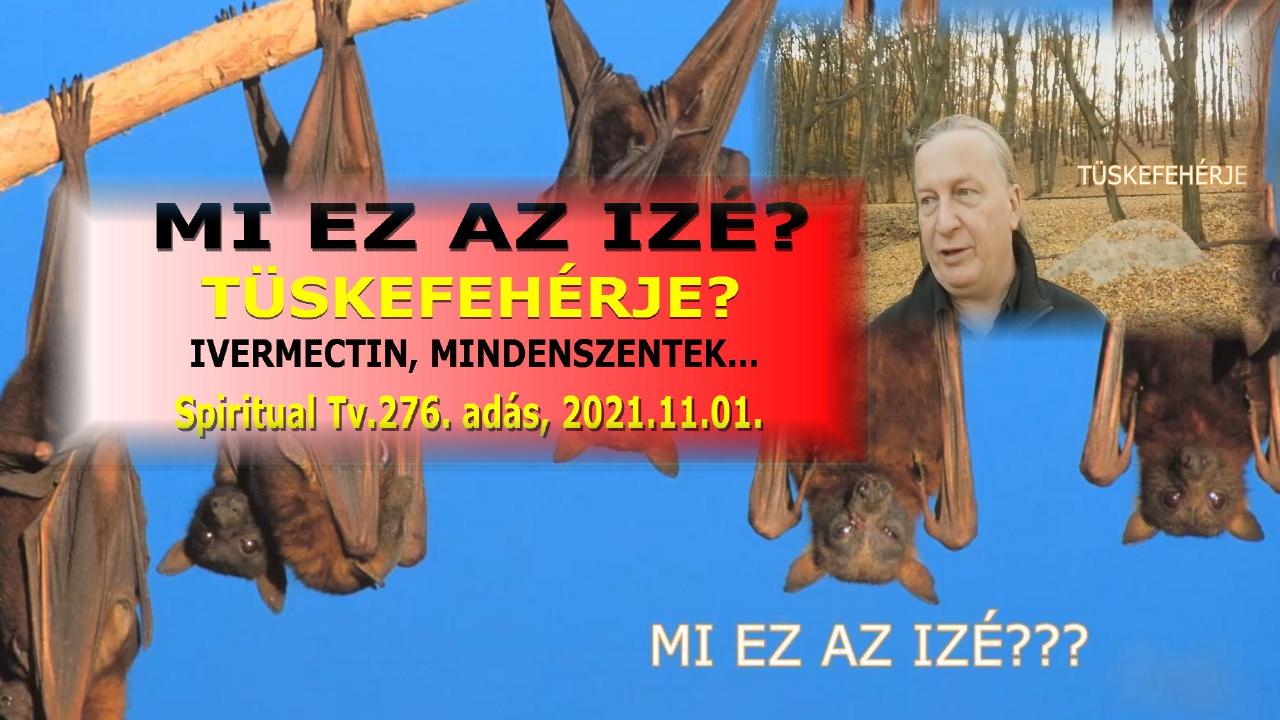 276 - Mi EZ AZ IZÉ? TÜSKEFEHÉRJE?